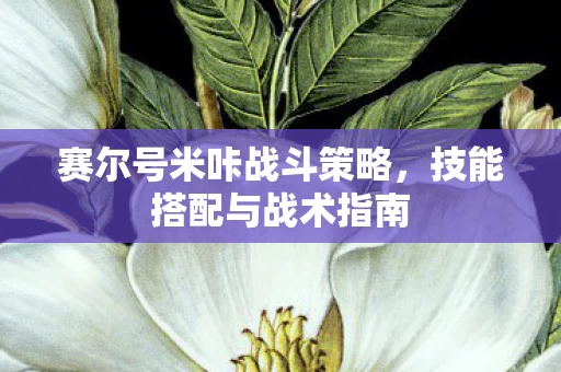 赛尔号米咔战斗策略图片