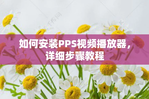 如何安装PPS视频播放器图片