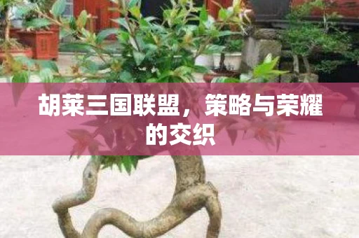 策略与荣耀的交织图片