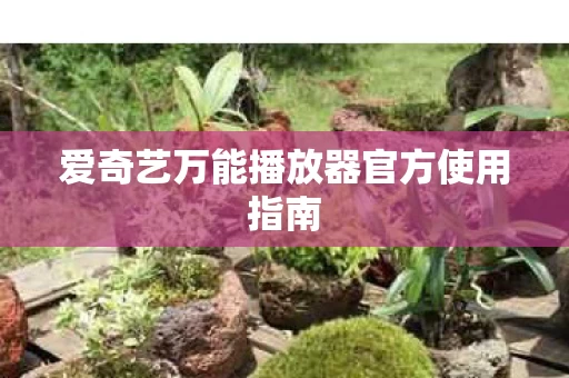 爱奇艺万能播放器官方使用指南图片