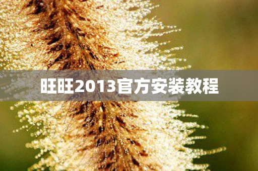 旺旺2013官方安装教程图片