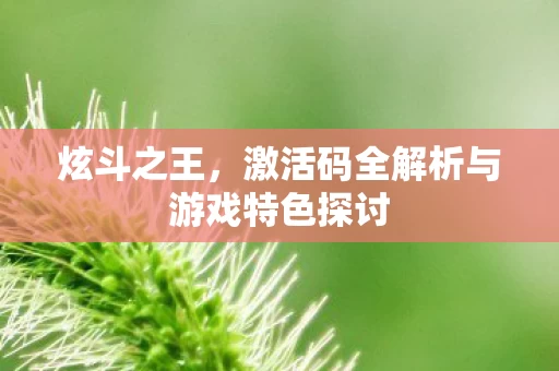 激活码全解析与游戏特色探讨图片
