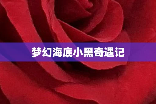梦幻海底小黑奇遇记图片
