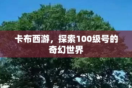 探索100级号的奇幻世界图片