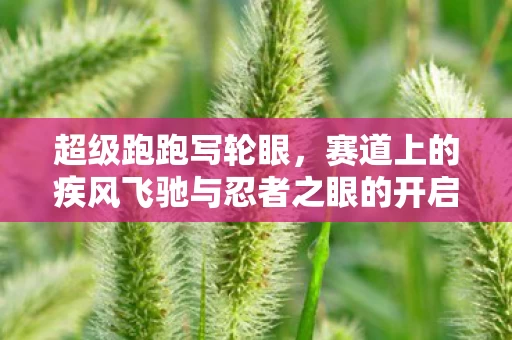 赛道上的疾风飞驰与忍者之眼的开启图片