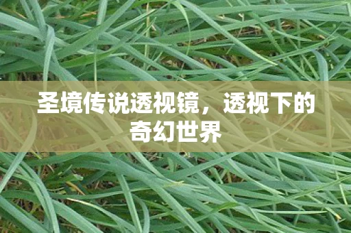 透视下的奇幻世界图片