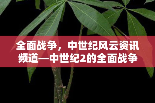 中世纪2的全面战争探索图片