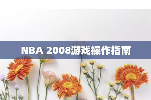 NBA 2008游戏操作指南图片