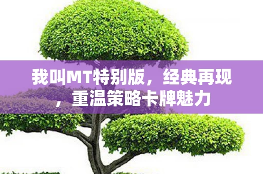 重温策略卡牌魅力图片