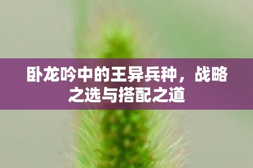 卧龙吟中的王异兵种图片