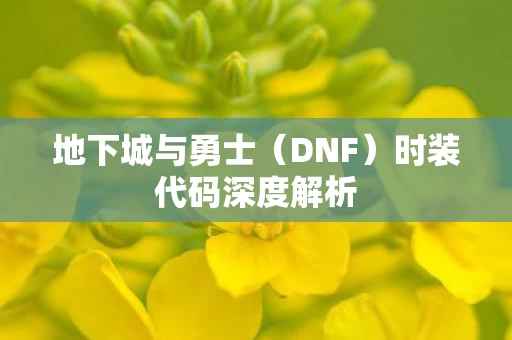 时装代码深度解析图片