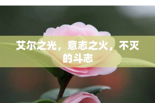 不灭的斗志图片