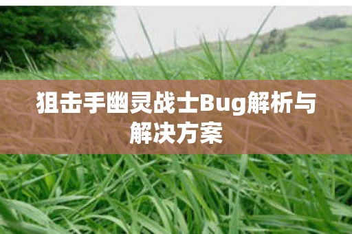 狙击手幽灵战士Bug解析与解决方案图片