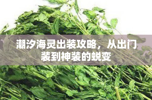 从出门装到神装的蜕变图片