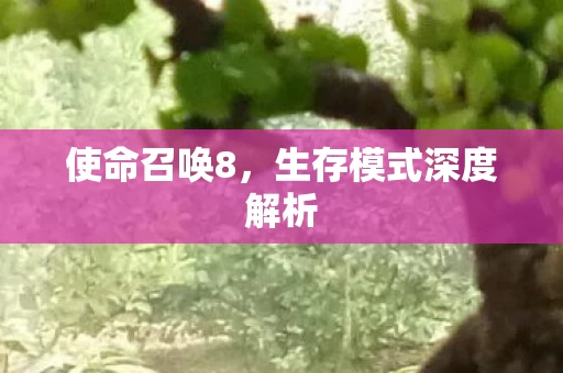 生存模式深度解析图片