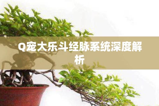 Q宠大乐斗经脉系统深度解析图片