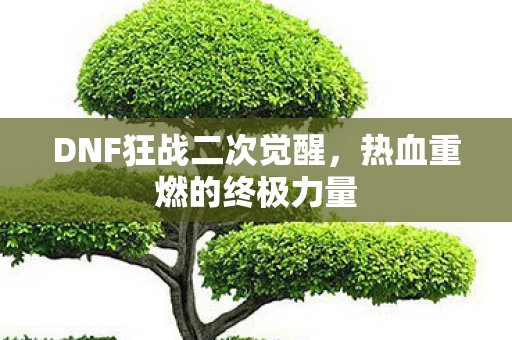DNF狂战二次觉醒图片