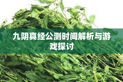 九阴真经公测时间解析与游戏探讨图片