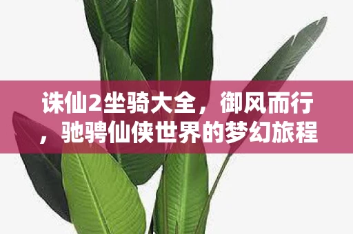 驰骋仙侠世界的梦幻旅程图片