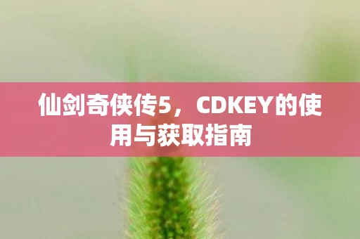 CDKEY的使用与获取指南图片