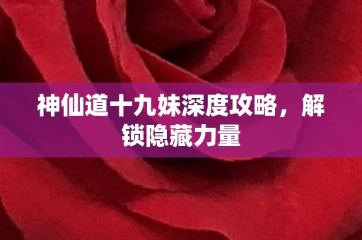 神仙道十九妹深度攻略图片