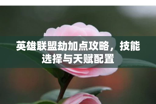 英雄联盟劫加点攻略图片