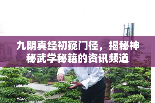 揭秘神秘武学秘籍的资讯频道图片