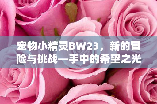 宠物小精灵BW23图片