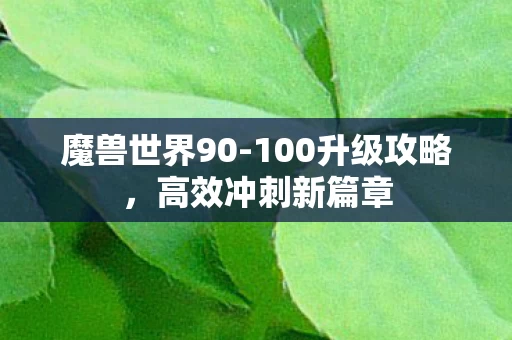100升级攻略图片