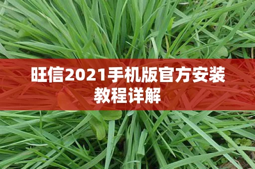 旺信2021手机版官方安装教程详解图片