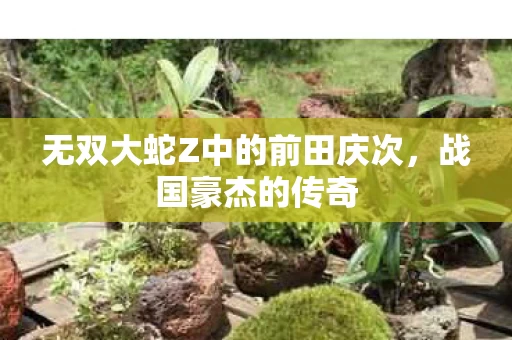 无双大蛇Z中的前田庆次图片