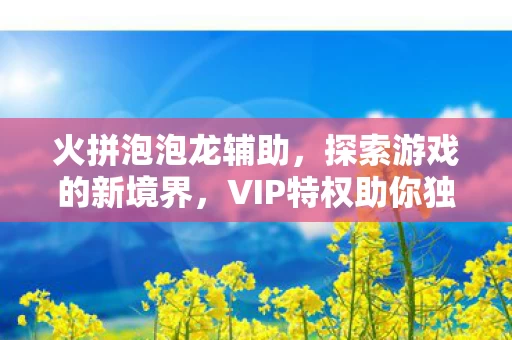 VIP特权助你独步天下图片