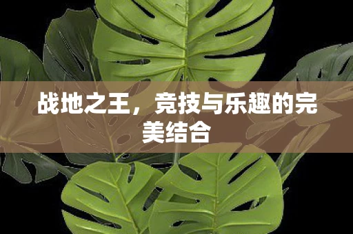 竞技与乐趣的完美结合图片