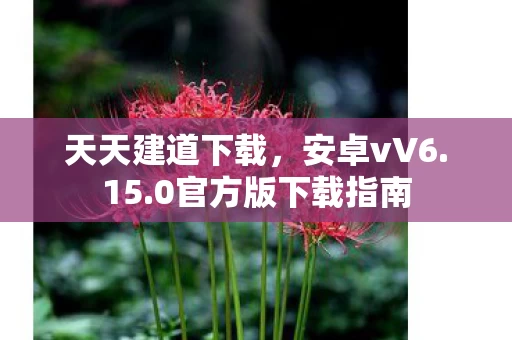 0官方版下载指南图片