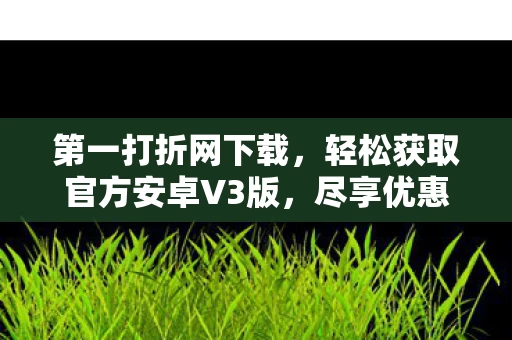 轻松获取官方安卓V3版图片
