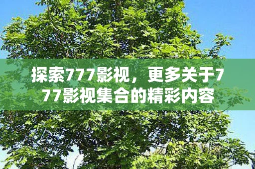 更多关于777影视集合的精彩内容图片