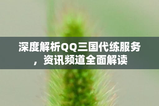 深度解析QQ三国代练服务图片