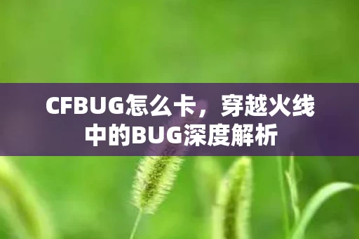 穿越火线中的BUG深度解析图片