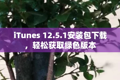 iTunes 12图片