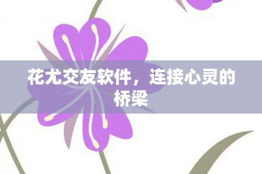 连接心灵的桥梁图片