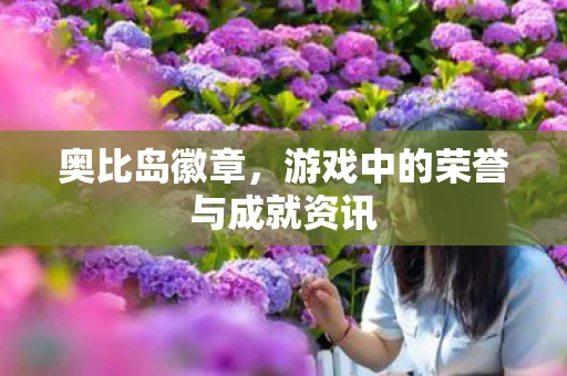 游戏中的荣誉与成就资讯图片