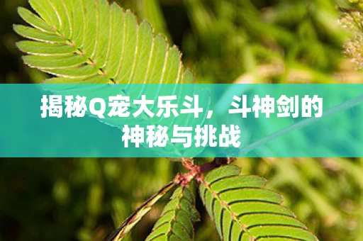 斗神剑的神秘与挑战图片