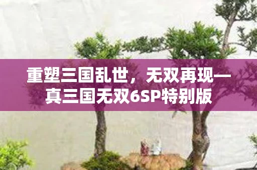 真三国无双6SP特别版图片