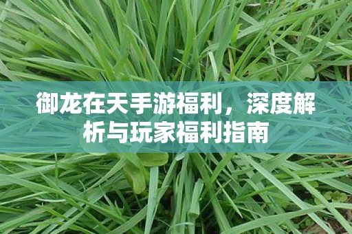 深度解析与玩家福利指南图片