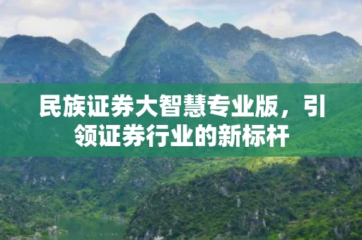 民族证券大智慧专业版图片