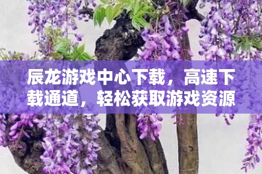 辰龙游戏中心下载图片