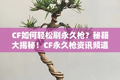 CF如何轻松刷永久枪图片