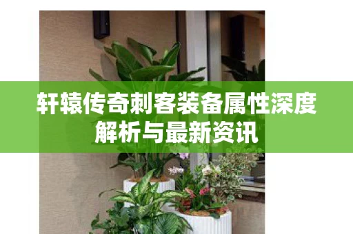 轩辕传奇刺客装备属性深度解析与最新资讯图片