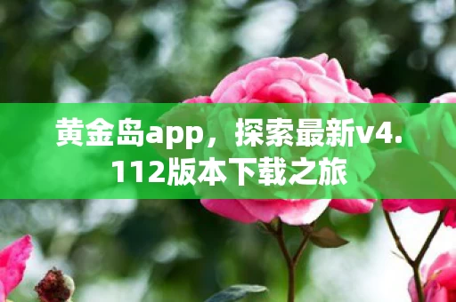 112版本下载之旅图片