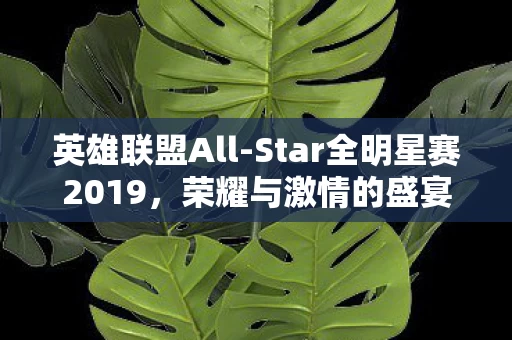 Star全明星赛2019图片